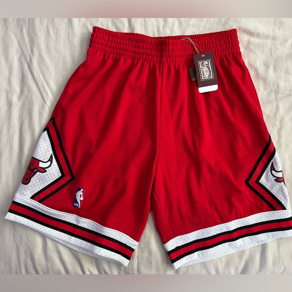 Swingman Collection Chicago Bulls Shorts